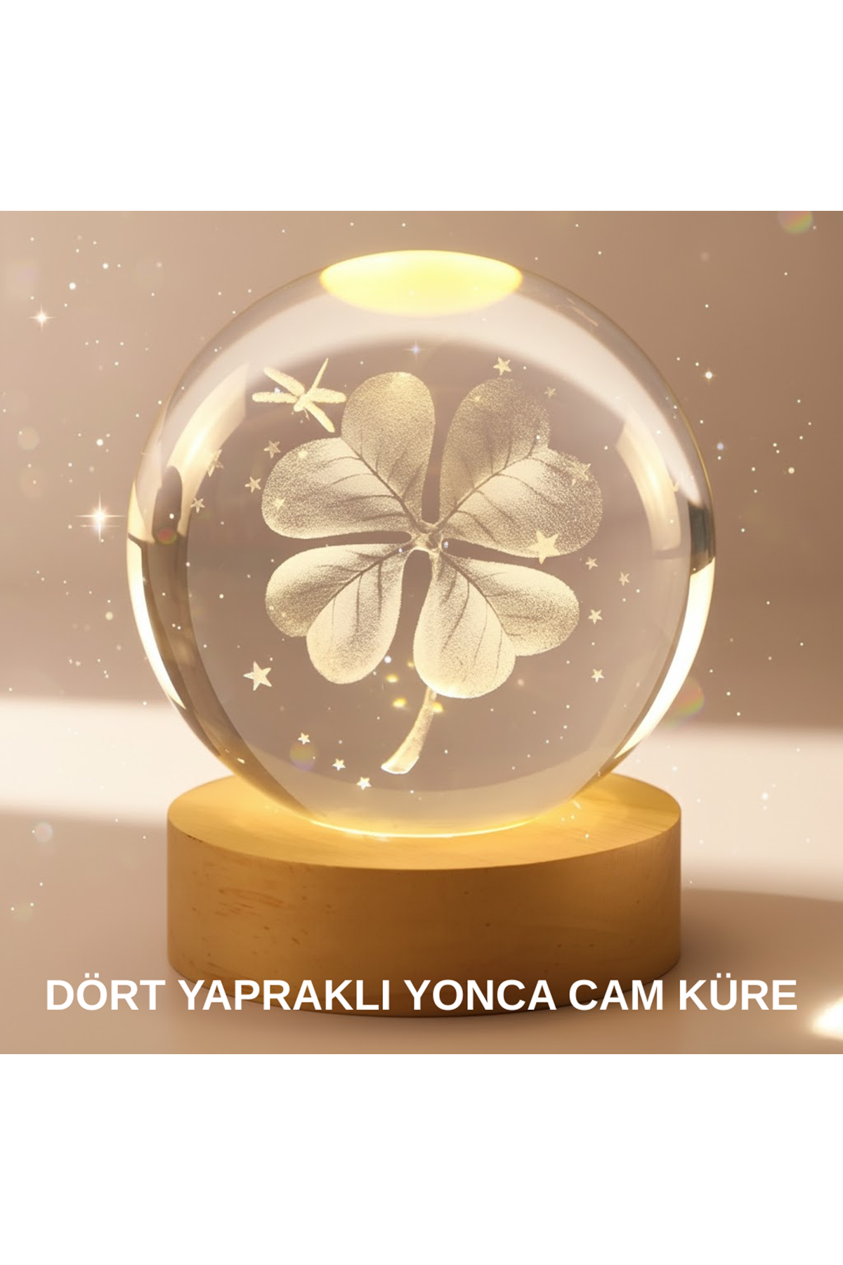 Bitki Temalı LED Işıklı Cam Küre Ahşap Standlı Modern Gece Lambası