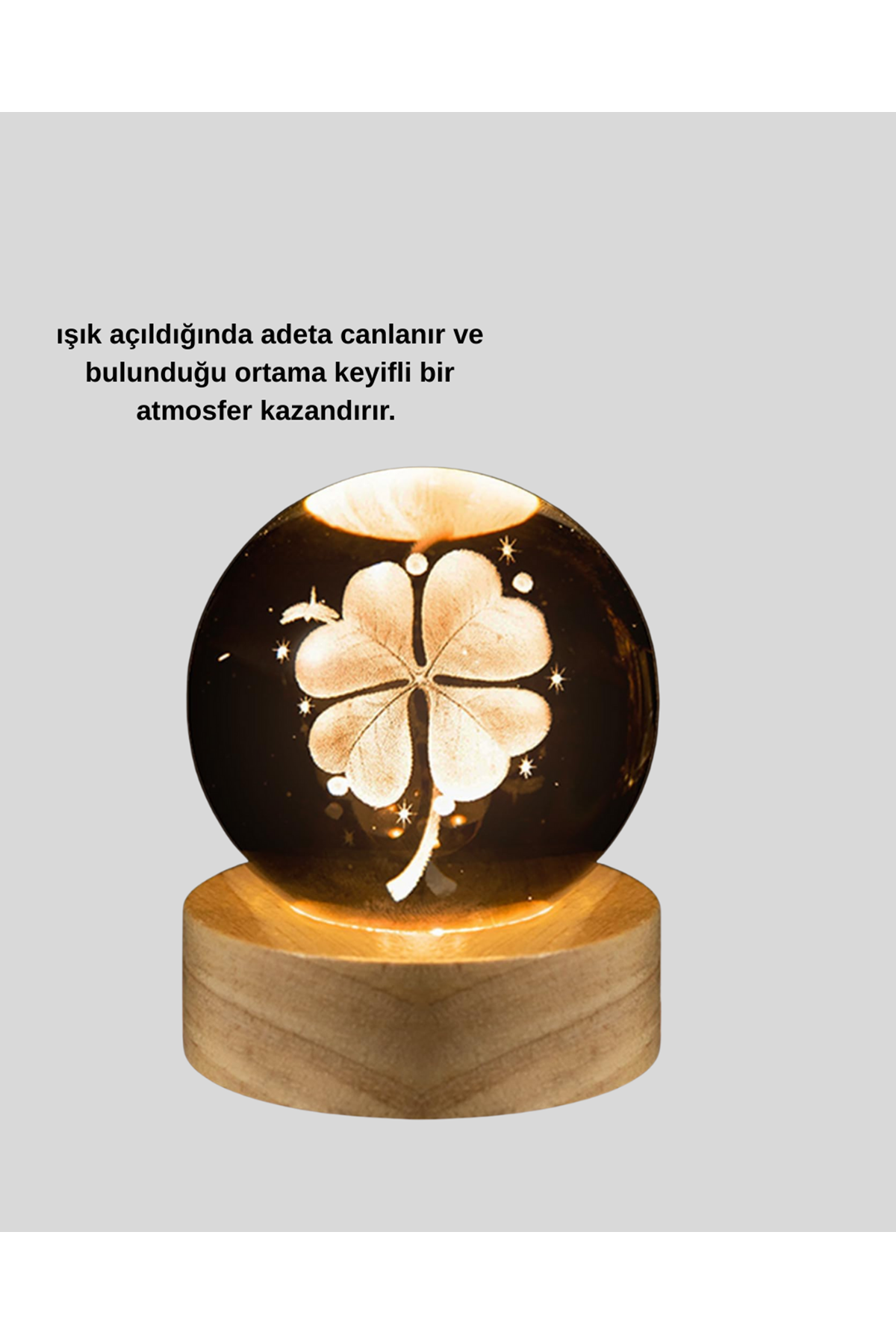 USB Bağlantılı Yonca Bitkili Cam Küre Ahşap Altlıklı Dekoratif Lamba