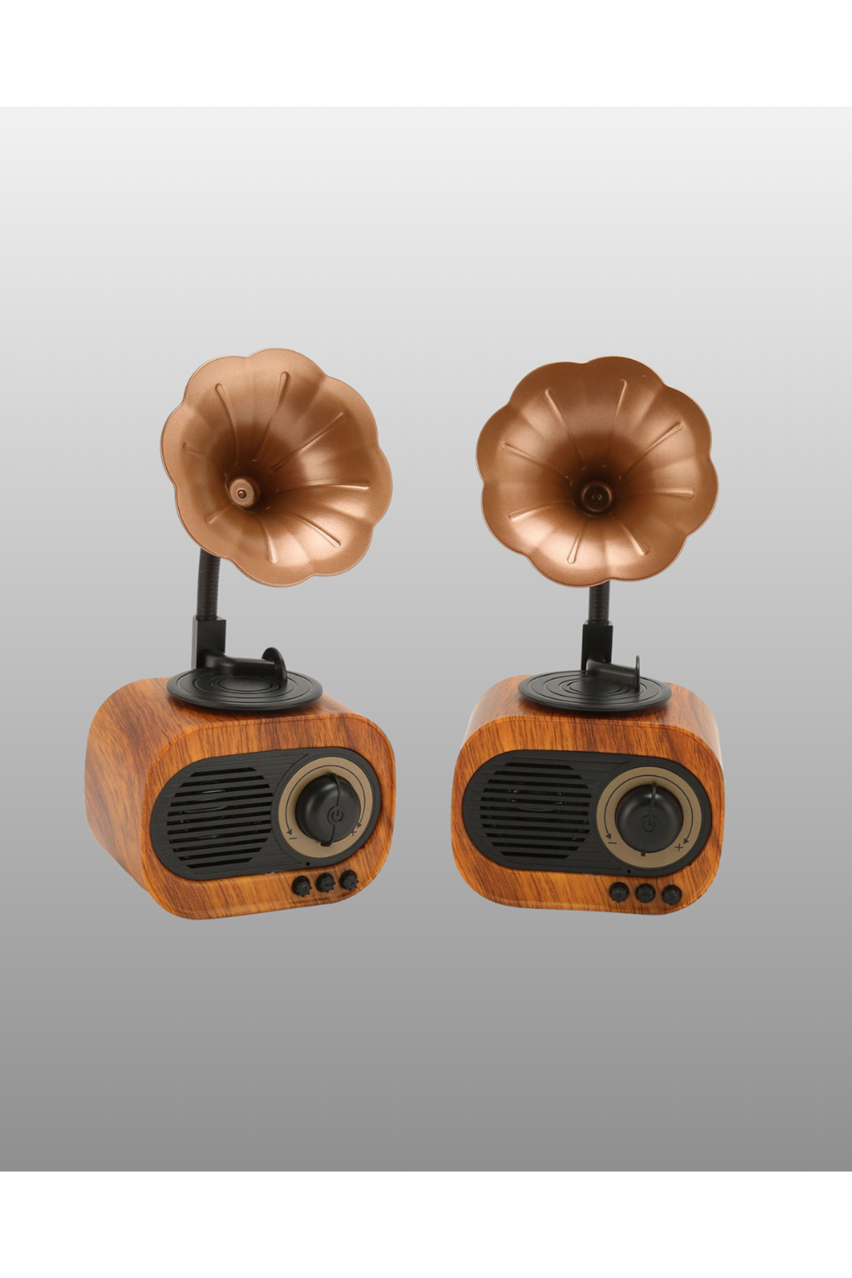 Mini Nostaljik Bluetooth Hoparlör FM Radyo 8 Saat Batarya