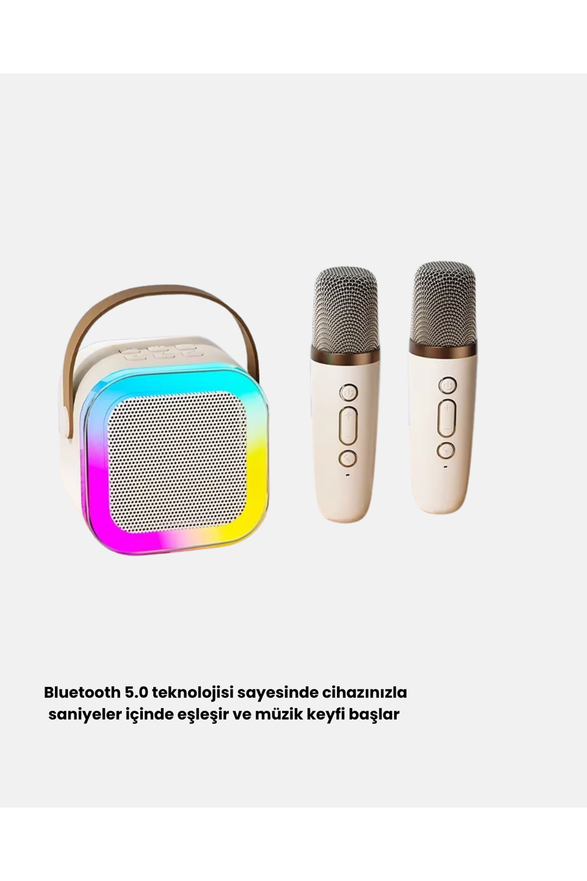 Taşınabilir Karaoke Hoparlör Bluetooth 5.0 ve Çift Mikrofonlu