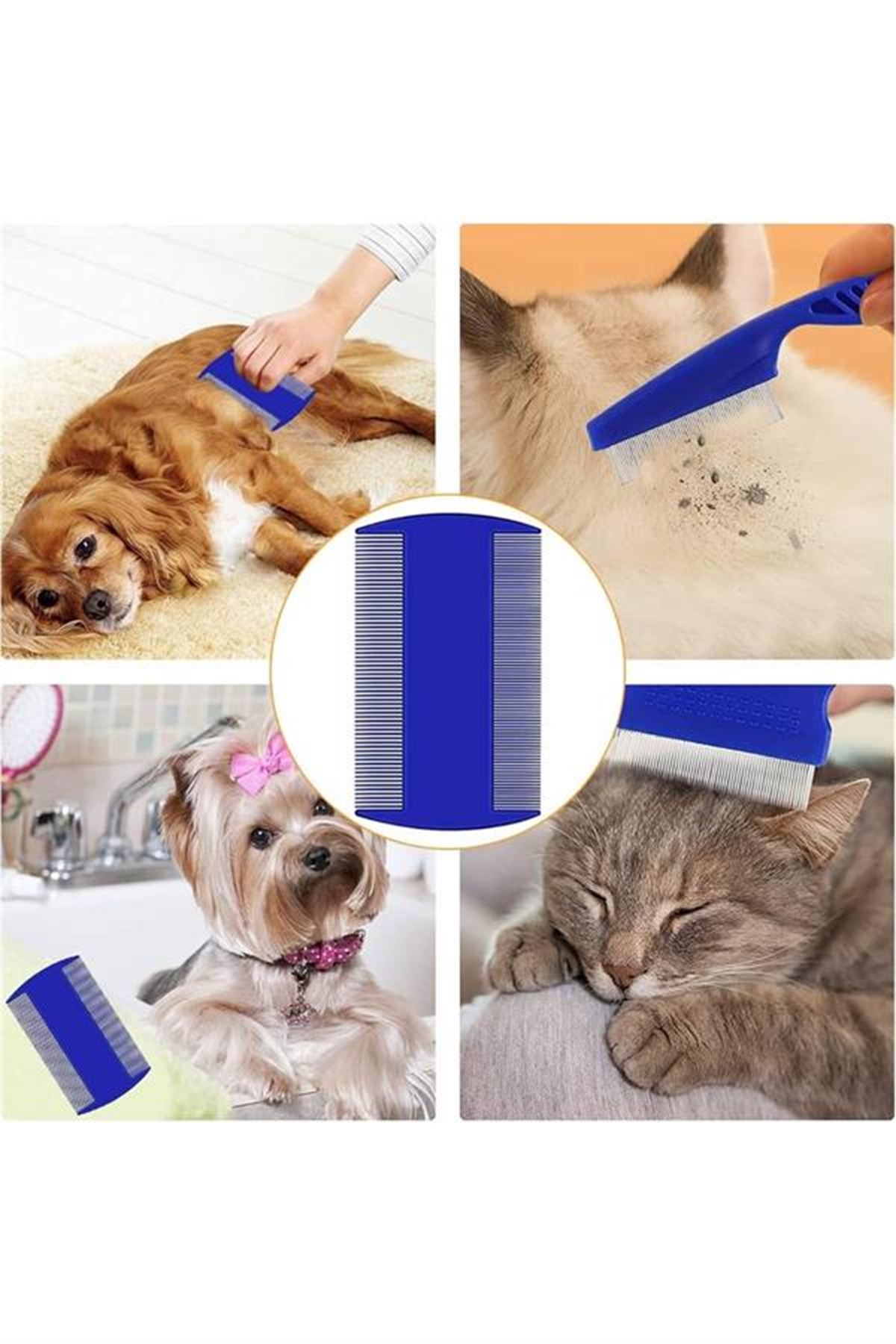 Evcil Hayvan Tarak Seti 4'lü Bit Tarağı Ked Köpek Tüyüne Uygun
