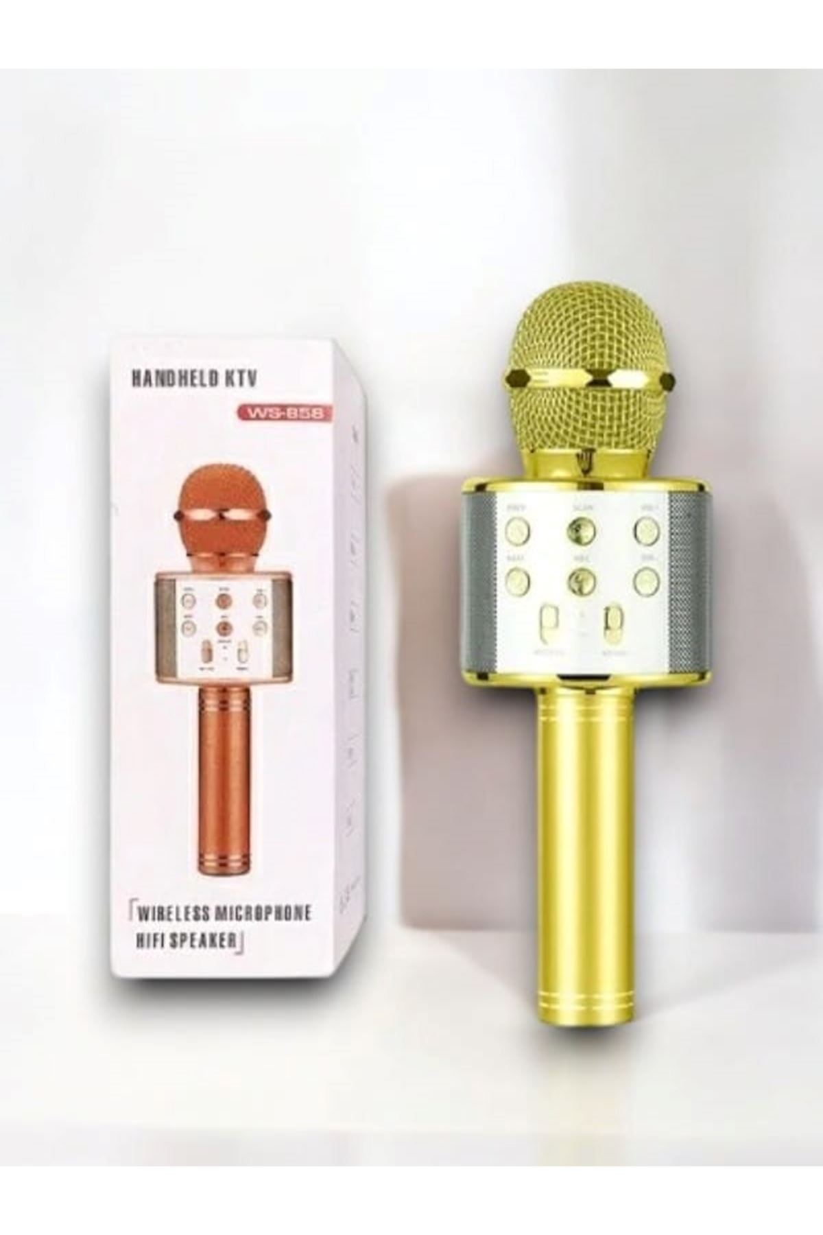 KAREOKE  MIKROFON