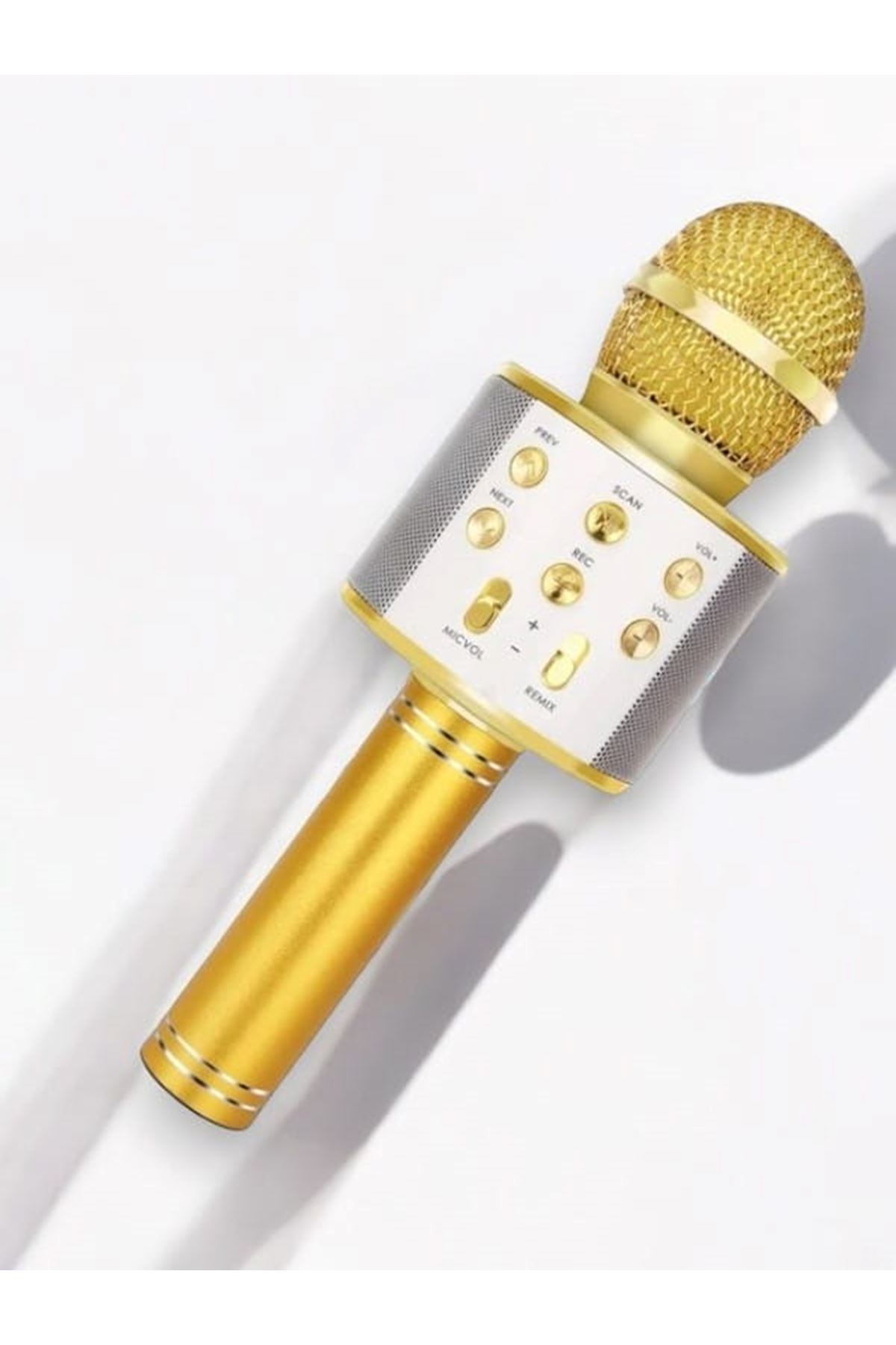 KAREOKE  MIKROFON