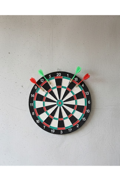17 İnç Profesyonel Dart Tahtası Dayanıklı Yapı ve 4 Metal Dart Oku