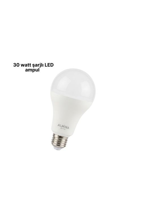 DL-2030 Şarjlı LED Ampul