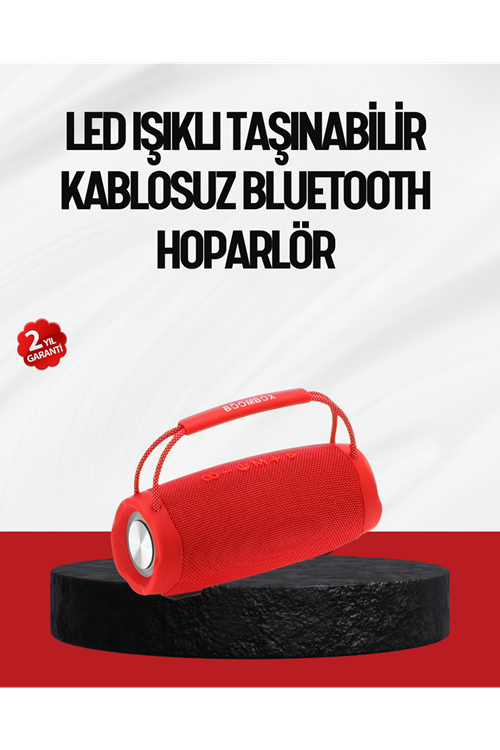 IPX6 Su Geçirmez Bluetooth 5.1 Taşınabilir Hoparlör Çift 10W