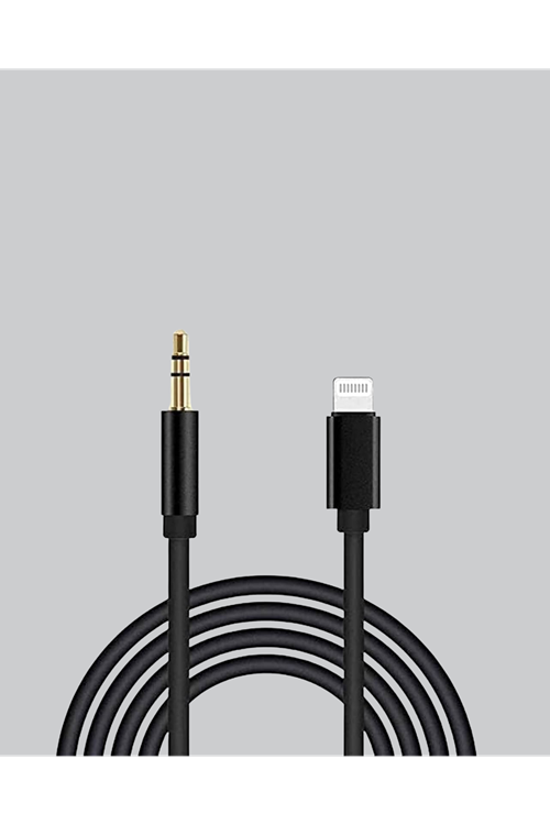 İPHONE AUX
