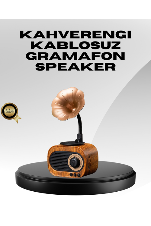 Kablosuz Retro Radyo Hoparlör 5W Güçlü Ses USB Hafıza Kart Destekli