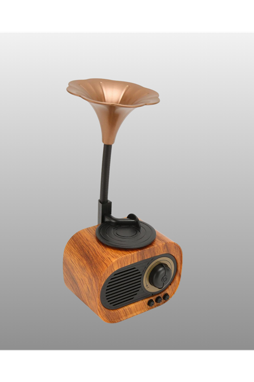 Kablosuz Retro Radyo Hoparlör 5W Güçlü Ses USB Hafıza Kart Destekli