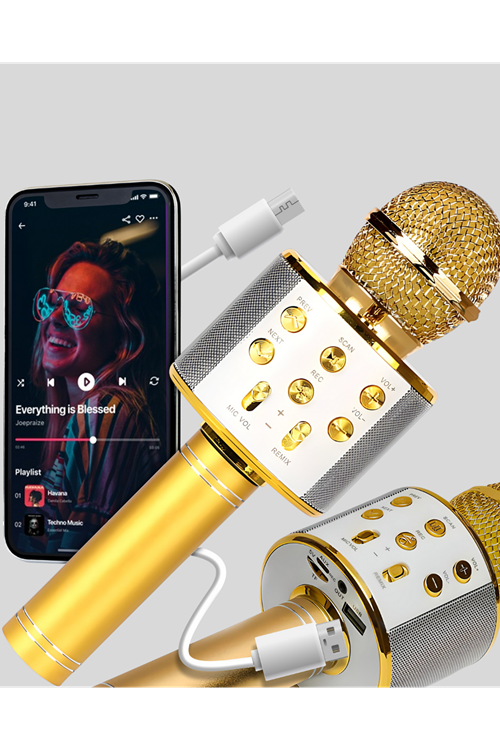Karaoke Mikrofonu Bluetooth USB AUX Girişli Yankı Efektli