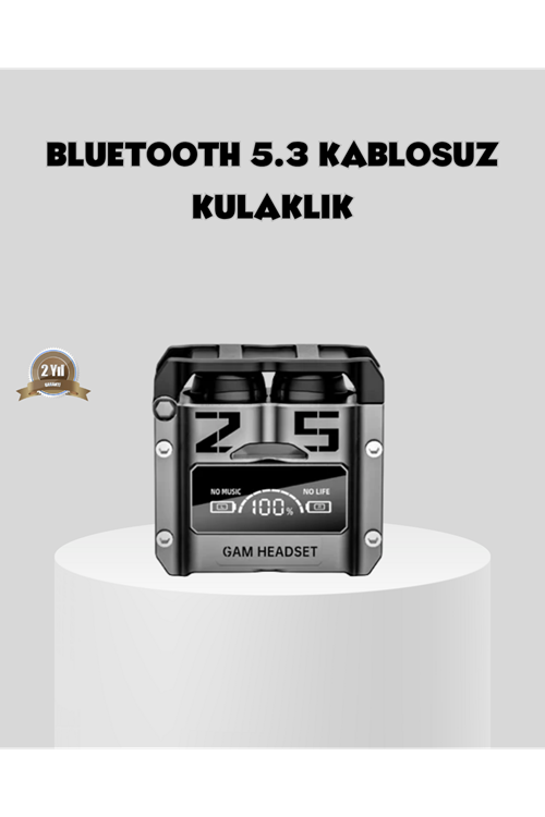 Gürültü Engelleyici Kablosuz Bluetooth Kulaklık – Oyun ve Müzik İçin Profesyonel Ses