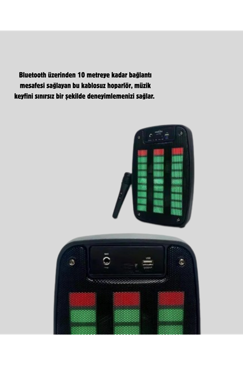 GTS 1793 Işıklı 6.5 İnç Kablosuz Hoparlör Bluetooth, USB ve FM Özellikli