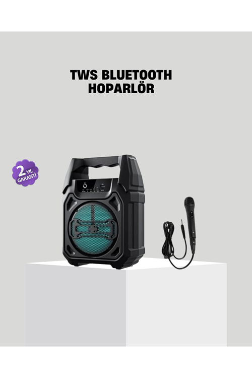 6.5 İnç Bluetooth Hoparlör Mikrofonlu Taşınabilir Karaoke ve Parti Sistemi