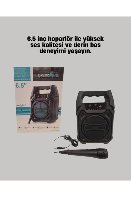 6.5 İnç Bluetooth Hoparlör Mikrofonlu Taşınabilir Karaoke ve Parti Sistemi