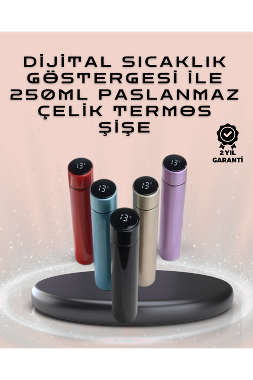 250ml LED Ekranlı Paslanmaz Çelik Akıllı Termos