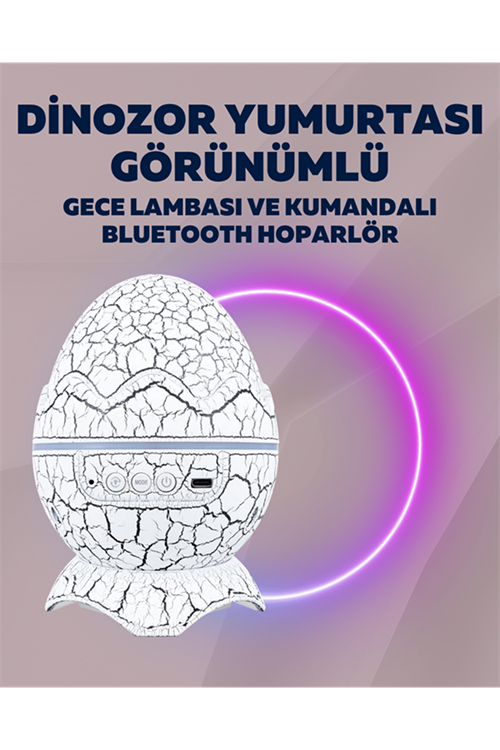Yıldız Gökyüzü Efektli Çok Modlu Gece Işığı