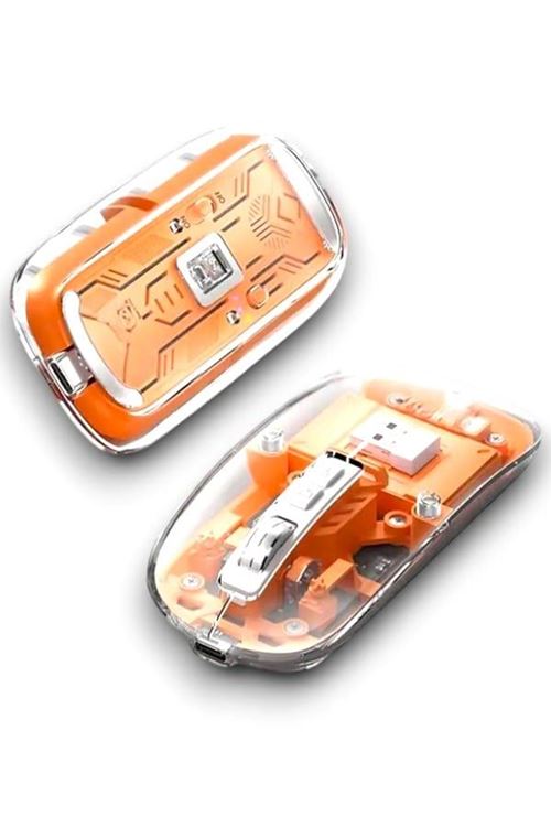 PG-9010 MOUSE FARE