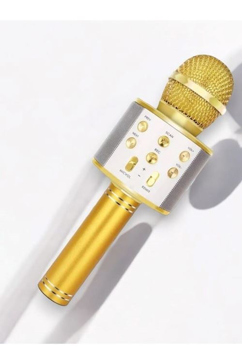 KAREOKE  MIKROFON
